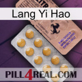 Lang Yi Hao 41